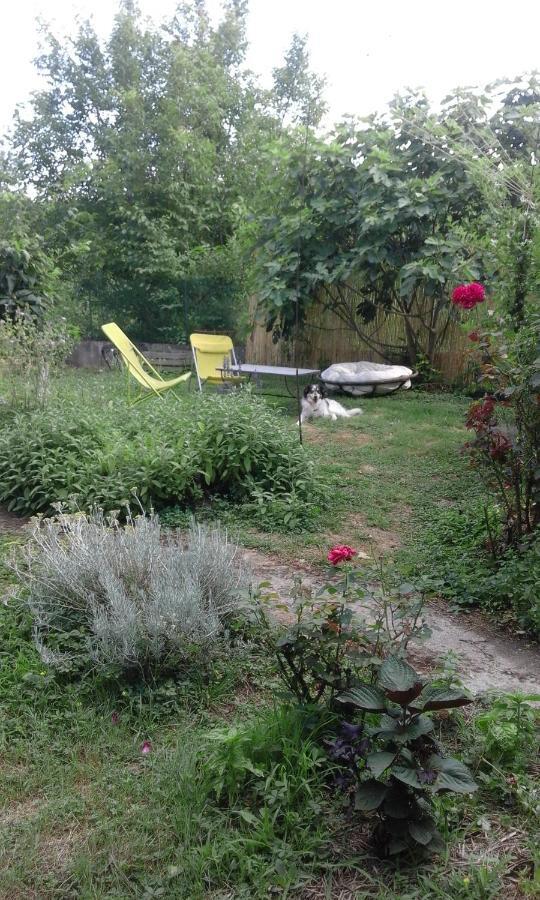 Le Jardin Du Controleur Appartement Valence  Buitenkant foto